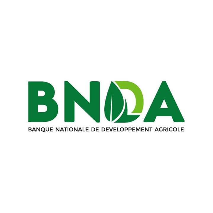 Banque Nationale de Développement du Burkina icon