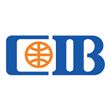 Commercial International Bank icon