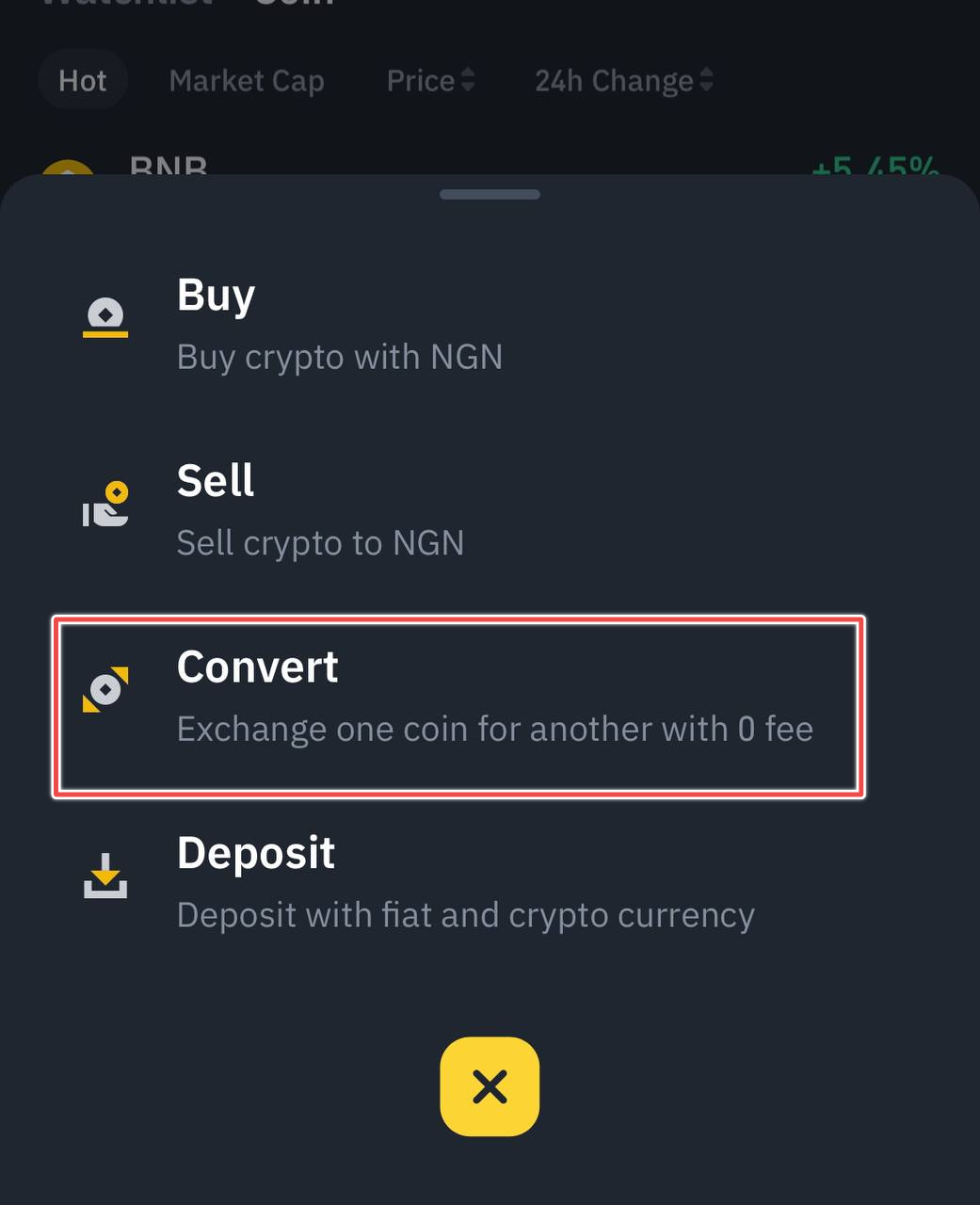 Binance Lite Convert option on iPhone