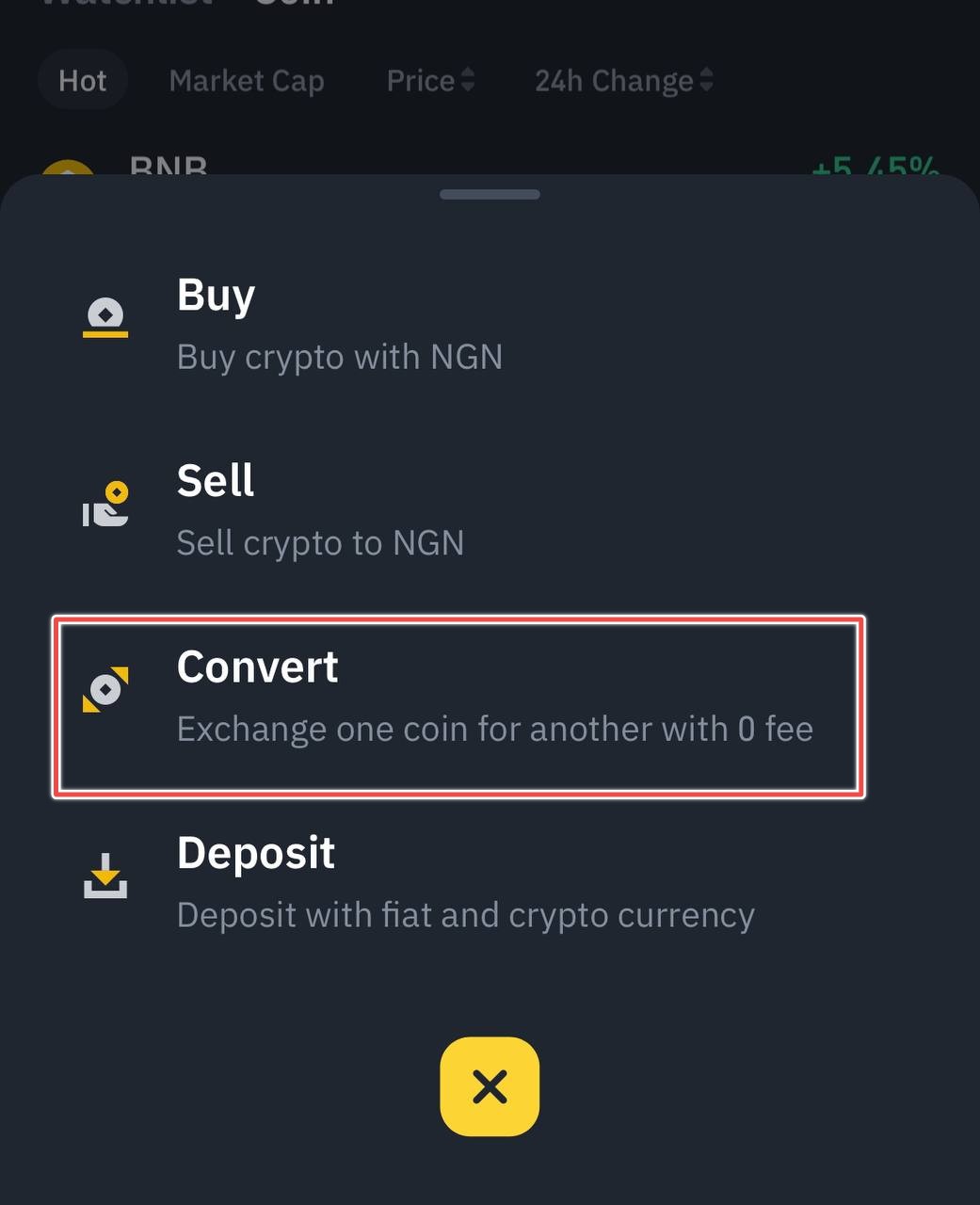 Convert on Binance Lite iOS